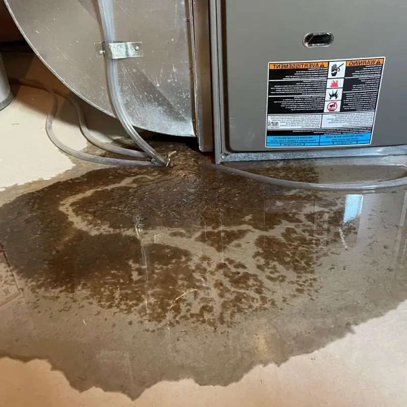 Pipe Burst and Leak Restoration in Kingsville, MD